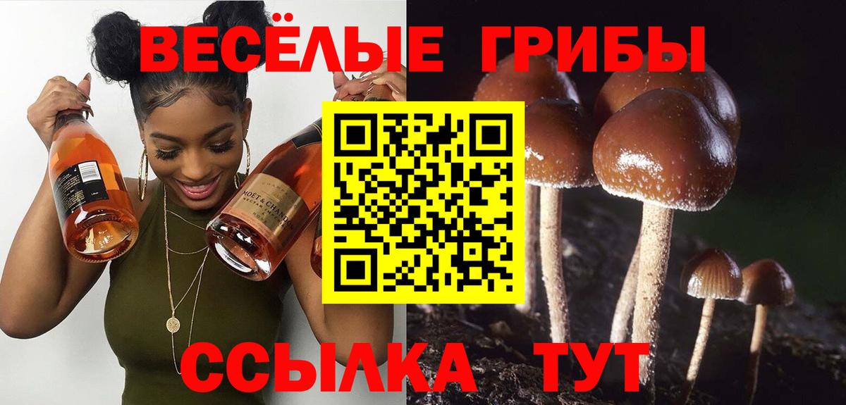 Псилоцибиновые грибы ЛСД Ступино